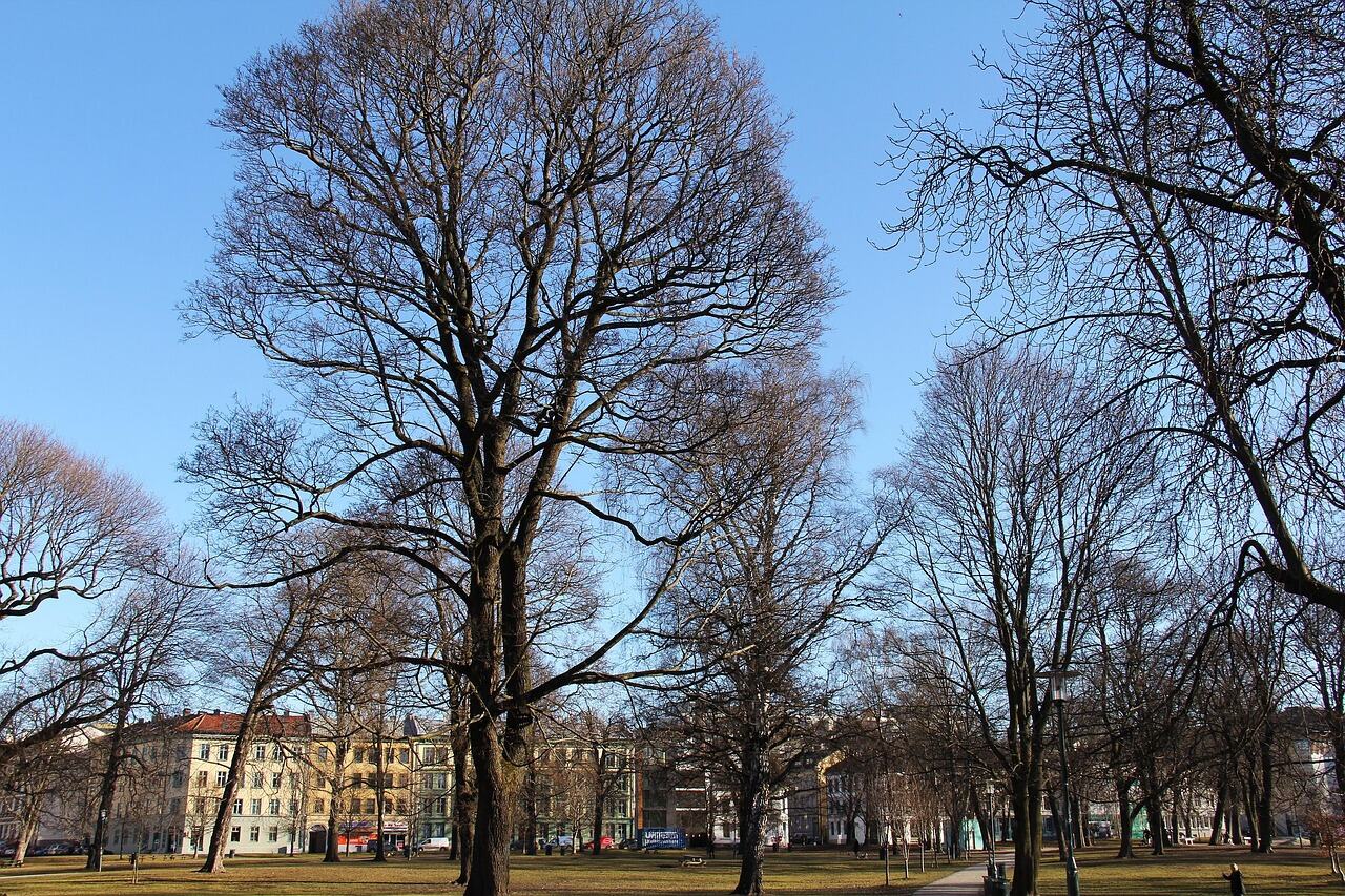 Grünerløkka Stroll, Oslo