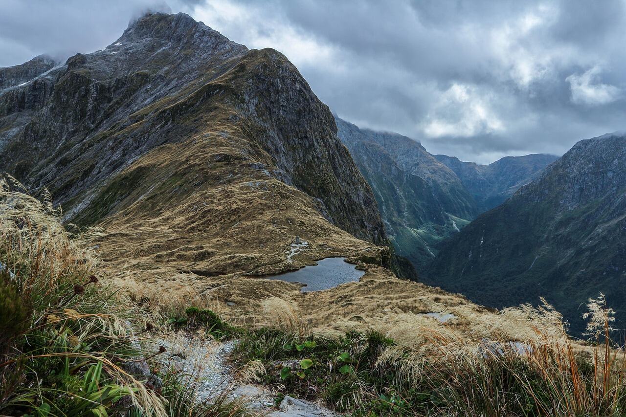 Day Trip to Milford Sound, Queenstown