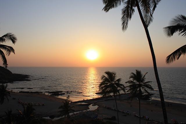 goa, nature, india, beach, sunset