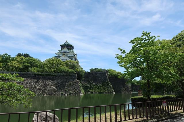 osaka, osaka castle, sky, castle, nature, tree, travel