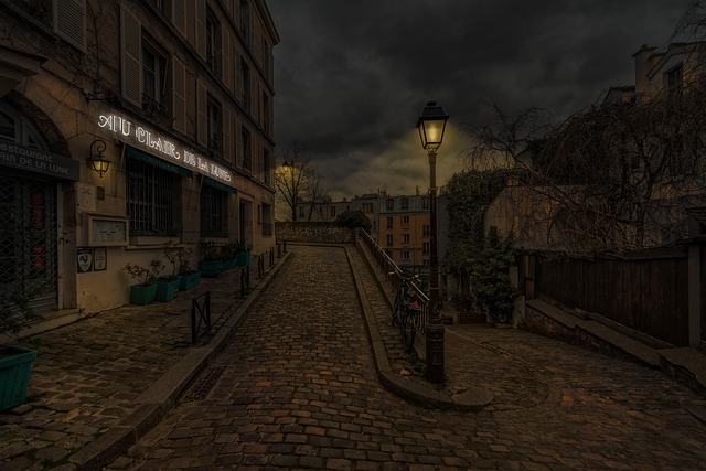 street, night, streetlight, lights, french, france, paris, night, streetlight, paris, paris, paris, paris, paris