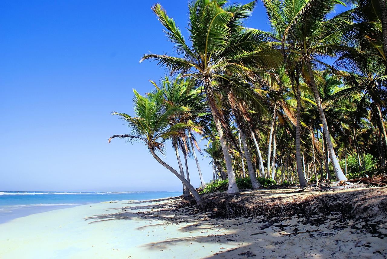 BlueMall Puntacana, Punta Cana