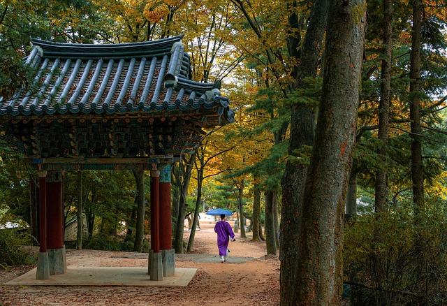 korean folk village, forest, trees, stroll, fall, autumn, garden, park, culture, village, traditional, history, tourism, nature, hanok, minsok village, minsokchon, namsan, seoul, south korea, korea, asia